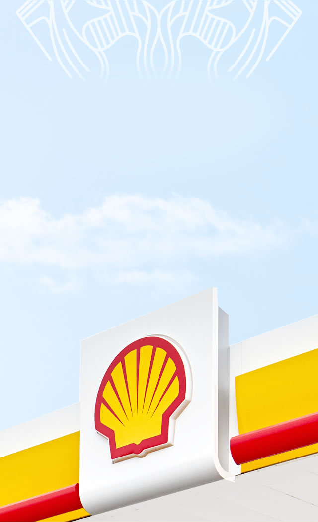 shell history