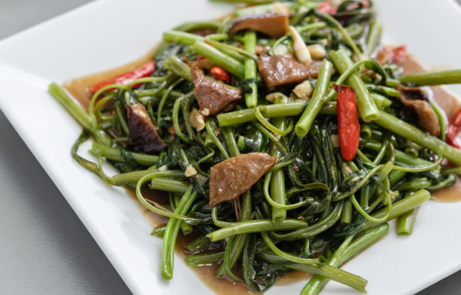 เบียร์โภชนา