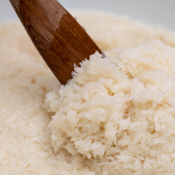 04-sticky-rice-sss-team4