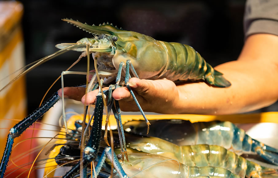 เรือนไทยกุ้งเผา วัดเชิงเลน บางไทร